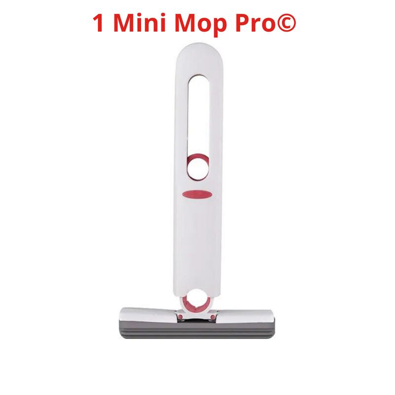 Mini Mop Pro©